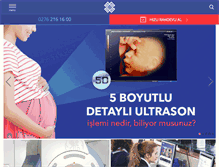 Tablet Screenshot of oztanhastanesi.com